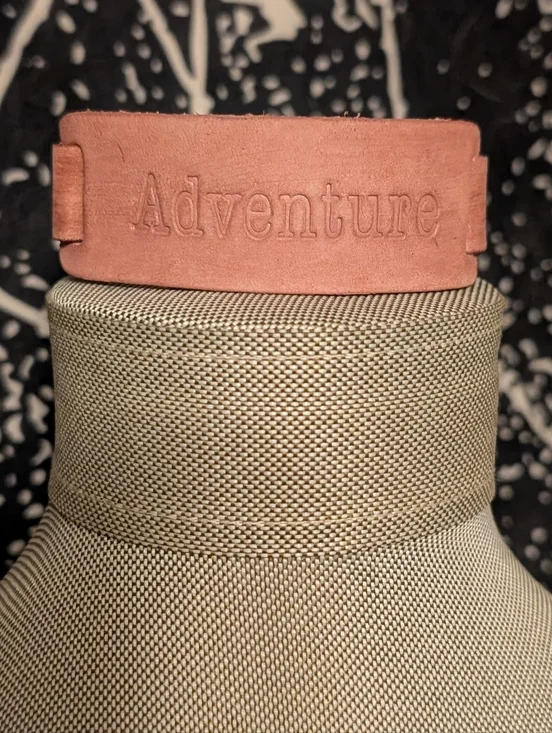 Scenic R - Picture 4 of 5